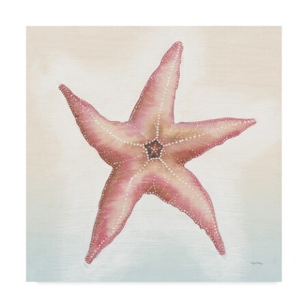 Trademark Fine Art Elyse Deneige 'Boardwalk Starfish' Canvas Art, 35x35 WAP03011-C3535GG